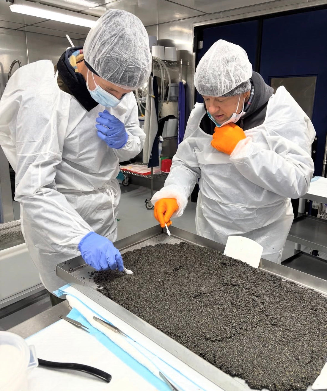 The Future of Caviar: Sustainable Sourcing & Ethical Production