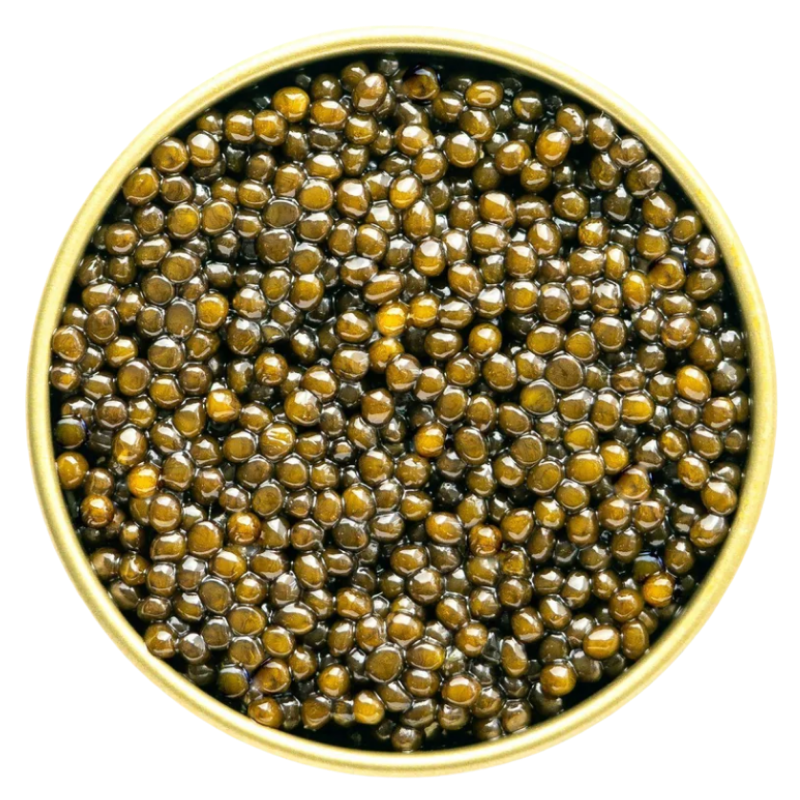 Close-up of Grand Cru Kaluga caviar pearls, showing their large size and glossy sheen