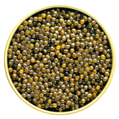 Close-up of Grand Cru Kaluga caviar pearls, showing their large size and glossy sheen