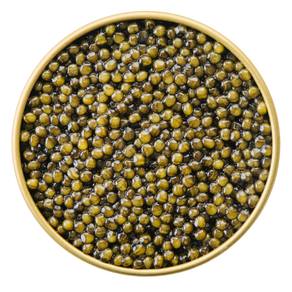 Grand Cru Kaluga Caviar