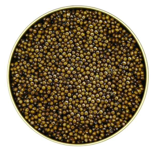 Reserve Kaluga Caviar