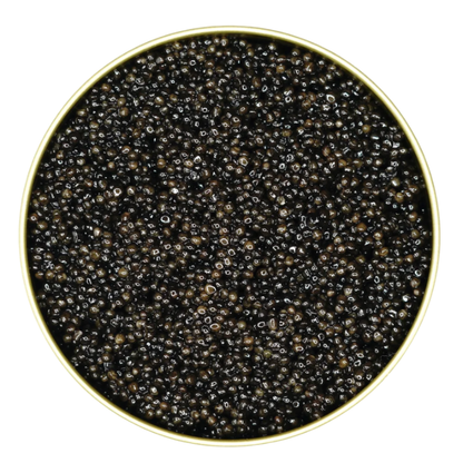 Close-up of Reserve Siberian caviar pearls, showing their deep onyx sheen