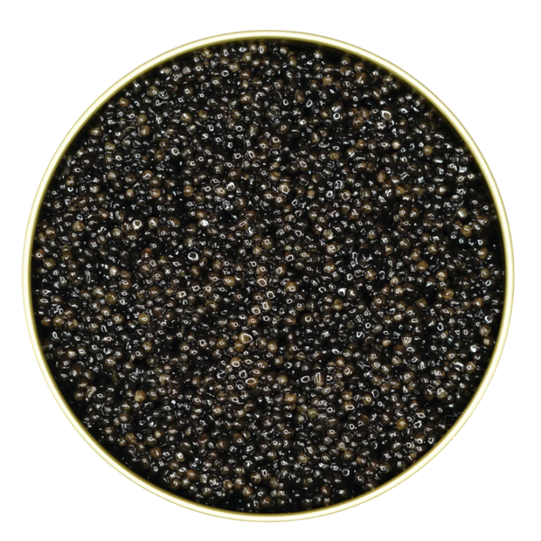 Reserve Siberian Caviar