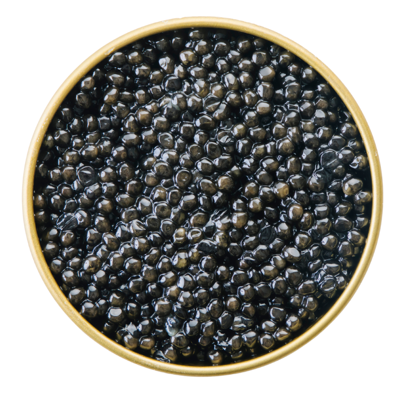 White Sturgeon-Caviére