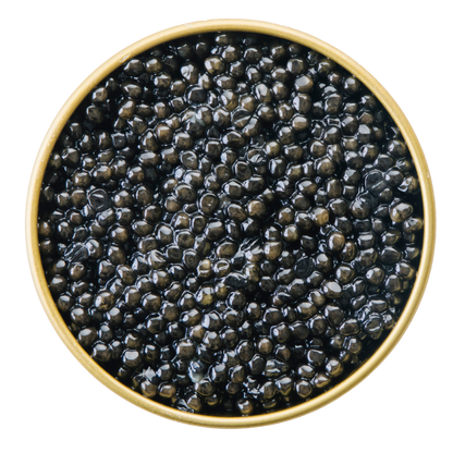 White Sturgeon-Caviére