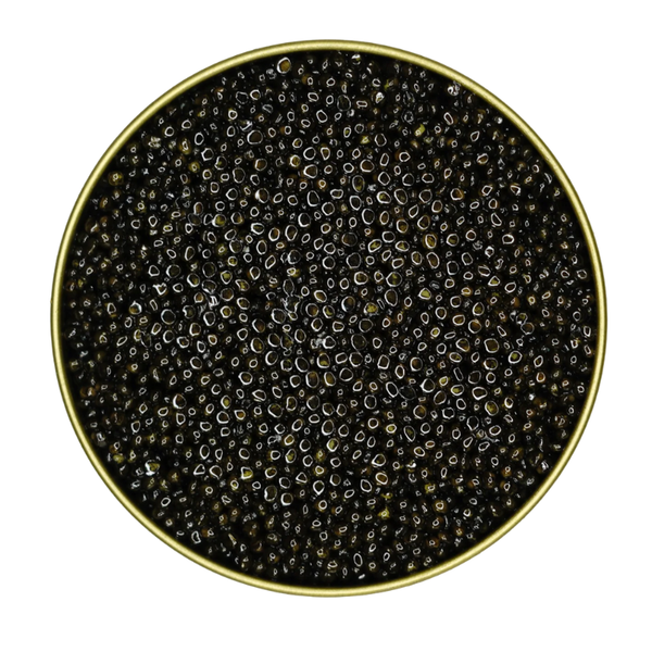 White Sturgeon Caviar