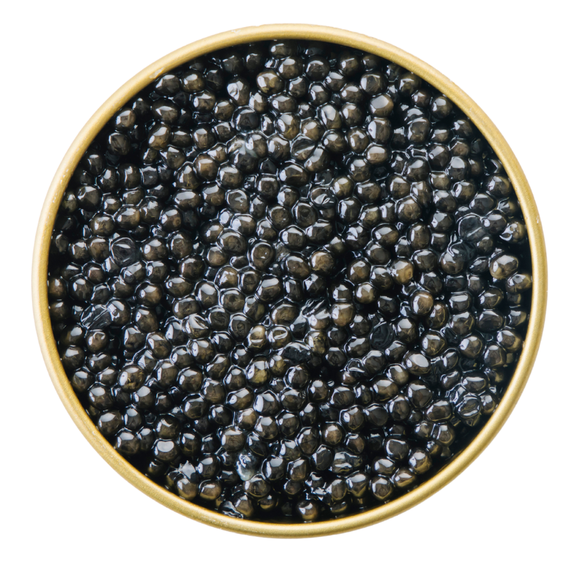 White Sturgeon Caviar