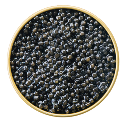 White Sturgeon Caviar