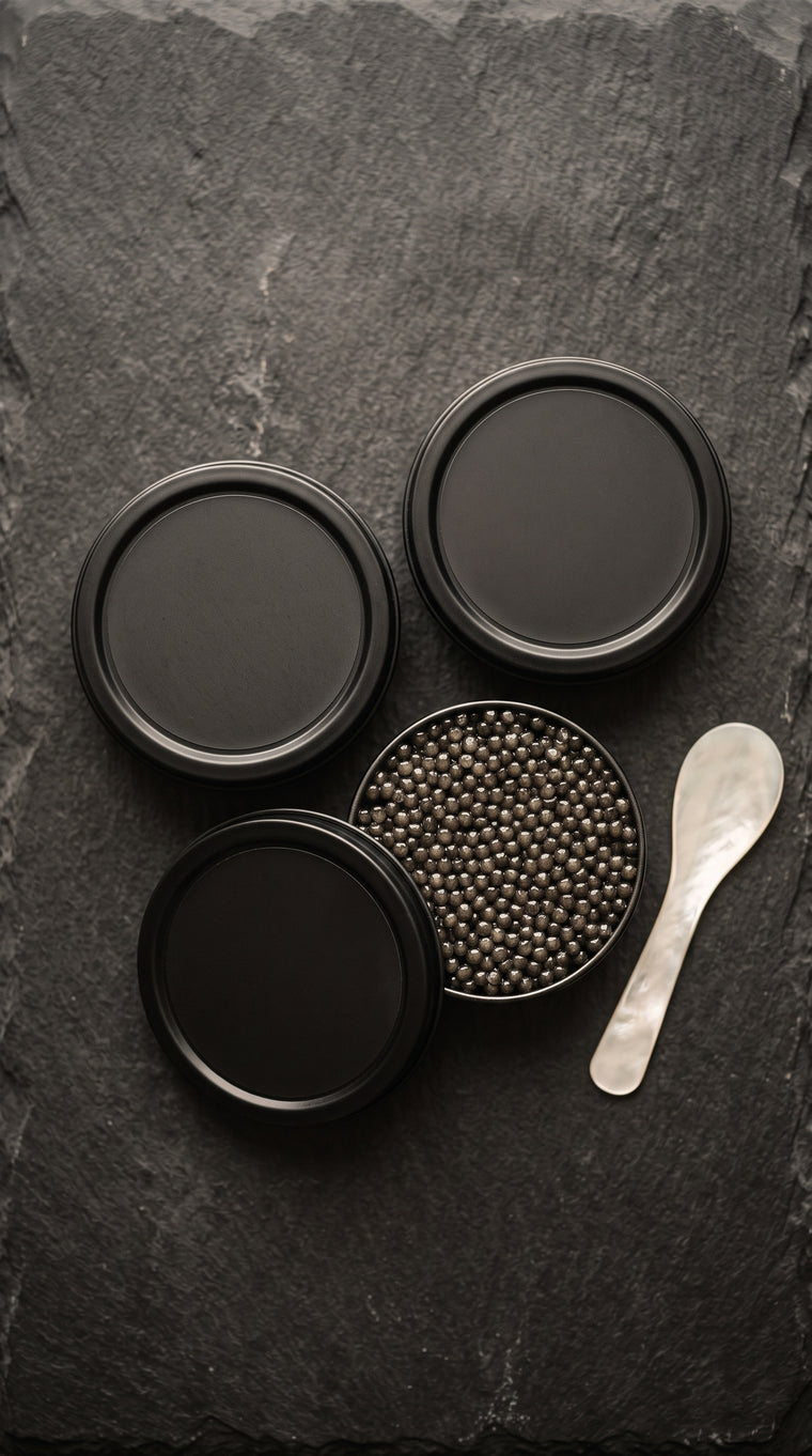 Top-down view of an open private label caviar tin on crushed ice