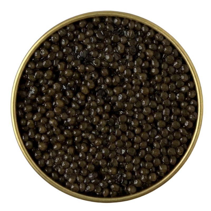 Reserve Ossetra-Caviére